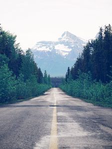 Preview wallpaper road, trees, forest, marking