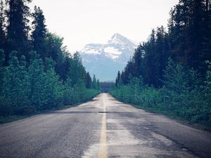 Preview wallpaper road, trees, forest, marking