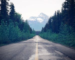 Preview wallpaper road, trees, forest, marking