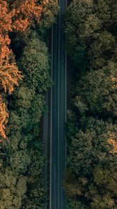 Preview wallpaper road, trees, forest, aerial view