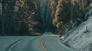 Preview wallpaper road, trees, forest, nature