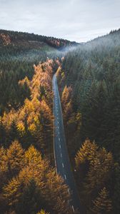 Preview wallpaper road, trees, forest, marking, autumn