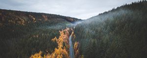 Preview wallpaper road, trees, forest, marking, autumn