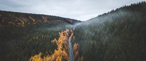 Preview wallpaper road, trees, forest, marking, autumn