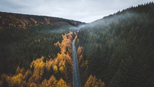 Preview wallpaper road, trees, forest, marking, autumn