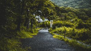 Preview wallpaper road, trees, forest, fog