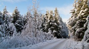 Preview wallpaper road, trees, forest, snow, winter