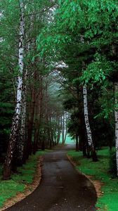 Preview wallpaper road, trees, grass, pathway