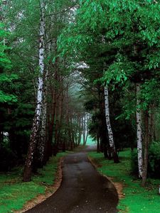 Preview wallpaper road, trees, grass, pathway