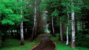 Preview wallpaper road, trees, grass, pathway