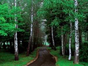 Preview wallpaper road, trees, grass, pathway