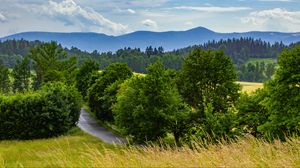 Preview wallpaper road, trees, grass