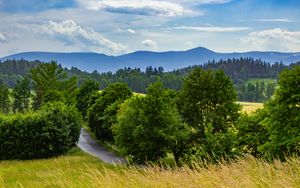 Preview wallpaper road, trees, grass