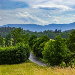 Preview wallpaper road, trees, grass