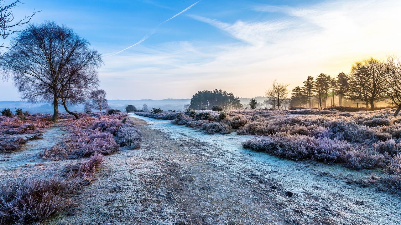 Wallpaper road, trees, hoarfrost, frost hd, picture, image