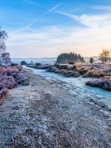 Preview wallpaper road, trees, hoarfrost, frost