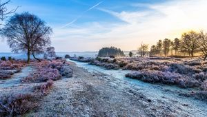 Preview wallpaper road, trees, hoarfrost, frost