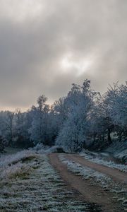 Preview wallpaper road, trees, hoarfrost, winter, frost