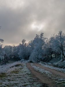 Preview wallpaper road, trees, hoarfrost, winter, frost