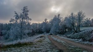 Preview wallpaper road, trees, hoarfrost, winter, frost