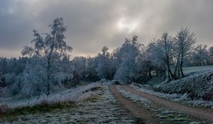 Preview wallpaper road, trees, hoarfrost, winter, frost