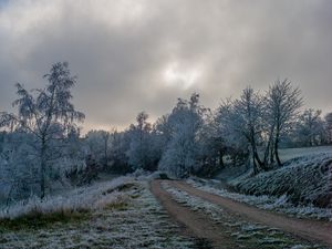 Preview wallpaper road, trees, hoarfrost, winter, frost