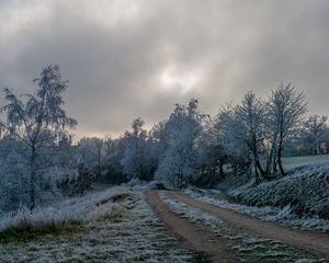 Preview wallpaper road, trees, hoarfrost, winter, frost