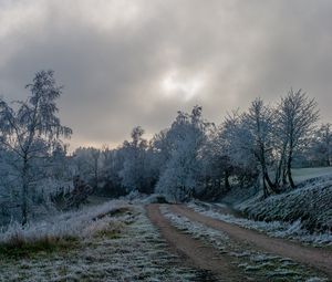 Preview wallpaper road, trees, hoarfrost, winter, frost