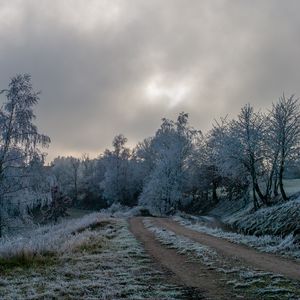 Preview wallpaper road, trees, hoarfrost, winter, frost