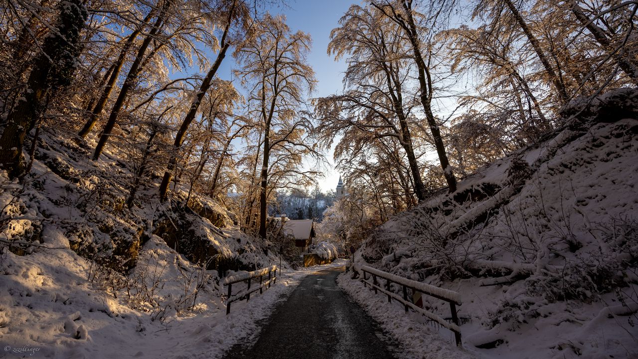 Wallpaper road, trees, houses, snow, winter