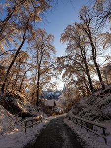 Preview wallpaper road, trees, houses, snow, winter