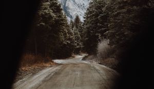 Preview wallpaper road, trees, landscape, view, nature