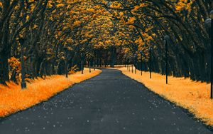 Preview wallpaper road, trees, lanterns, foliage, autumn