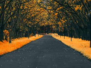 Preview wallpaper road, trees, lanterns, foliage, autumn