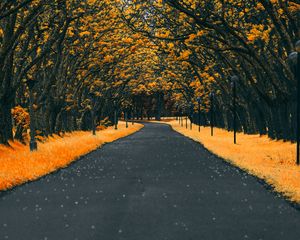 Preview wallpaper road, trees, lanterns, foliage, autumn