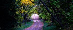 Preview wallpaper road, trees, leaves, forest, nature