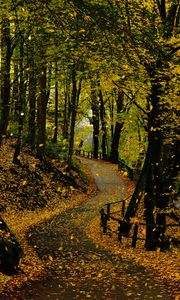 Preview wallpaper road, trees, leaves, autumn