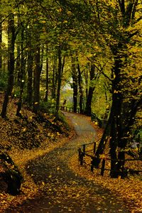 Preview wallpaper road, trees, leaves, autumn