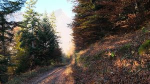 Preview wallpaper road, trees, leaves, autumn, mountain