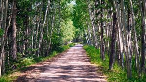 Preview wallpaper road, trees, light, nature, landscape