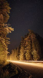 Preview wallpaper road, trees, long exposure, spruce