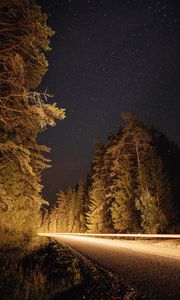 Preview wallpaper road, trees, long exposure, spruce