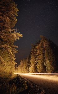 Preview wallpaper road, trees, long exposure, spruce