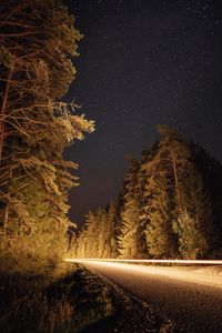 Preview wallpaper road, trees, long exposure, spruce