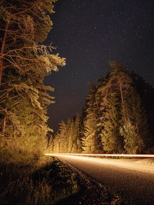 Preview wallpaper road, trees, long exposure, spruce