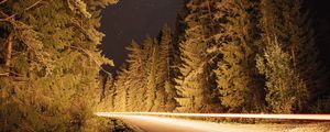 Preview wallpaper road, trees, long exposure, spruce