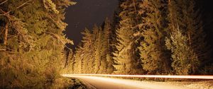 Preview wallpaper road, trees, long exposure, spruce