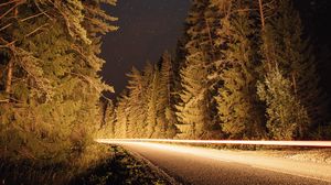 Preview wallpaper road, trees, long exposure, spruce