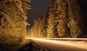 Preview wallpaper road, trees, long exposure, spruce