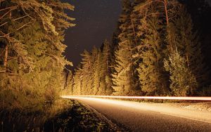 Preview wallpaper road, trees, long exposure, spruce